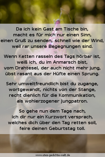 Geburtstagsgedichte für gute Freunde