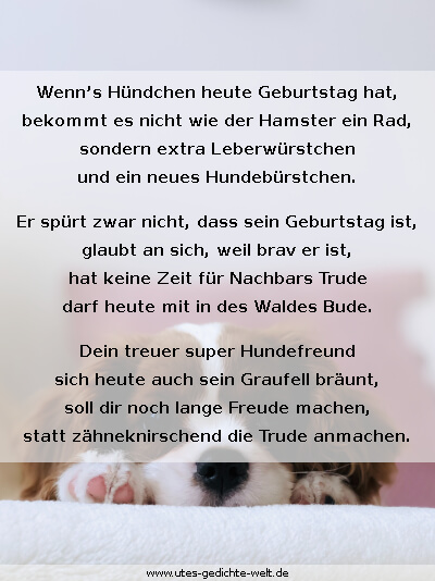Gedichte Tierliebhaber