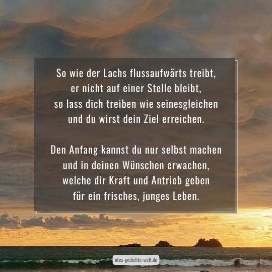 Glückwünsche zur Jugendweihe